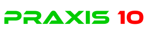 praxis10 logo